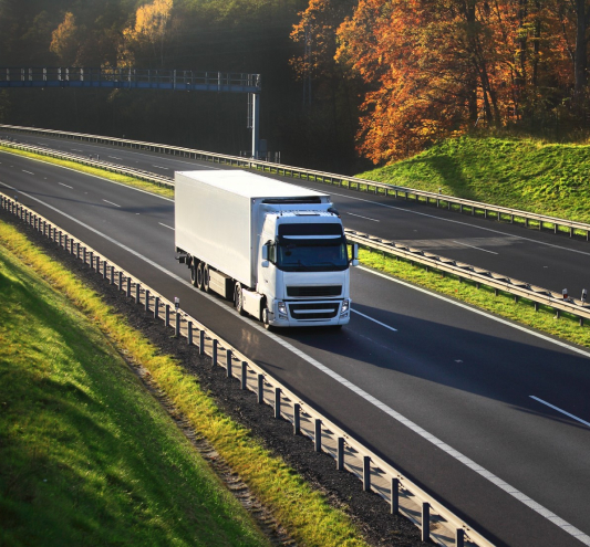 Белая фура Biocard на трассе везет термозависимые грузы из Москвы. Перевозки грузов с температурным режимом по РФ и миру